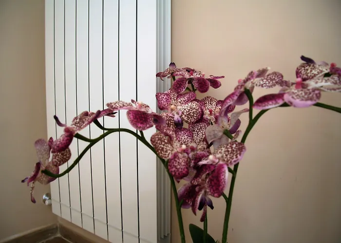 Bed & Breakfast Giacomino Sorrento